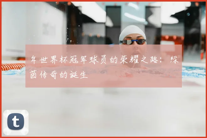 年世界杯冠军球员的荣耀之路：绿茵传奇的诞生