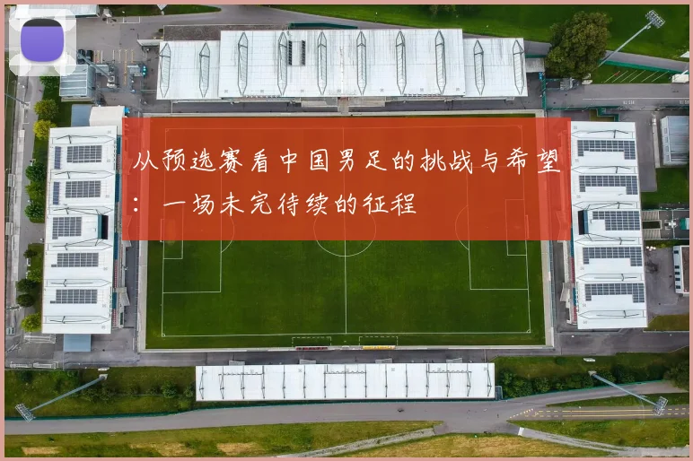 从预选赛看中国男足的挑战与希望：一场未完待续的征程