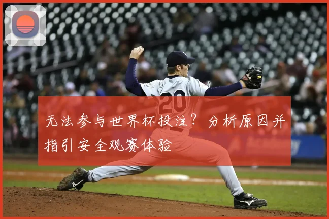 无法参与世界杯投注？分析原因并指引安全观赛体验