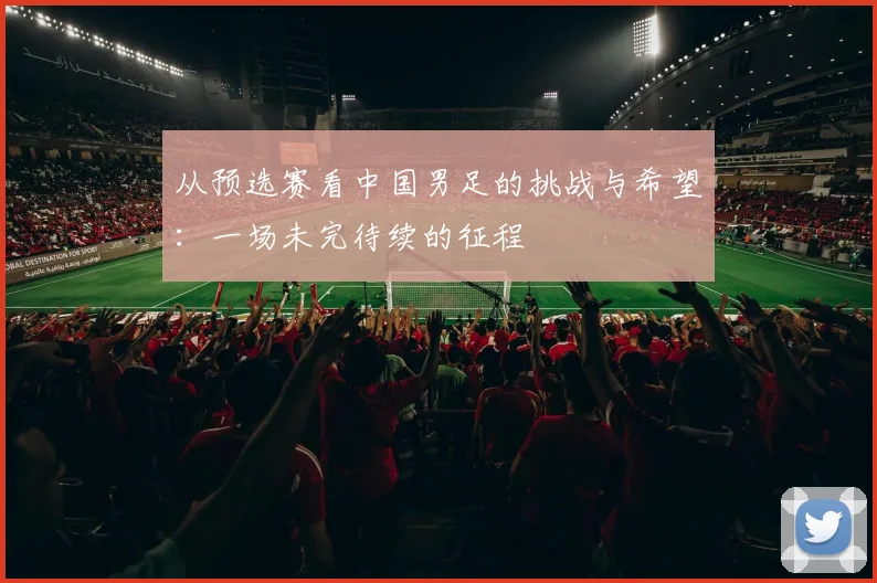 从预选赛看中国男足的挑战与希望：一场未完待续的征程