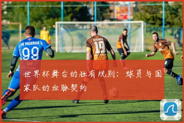世界杯舞台的独有规则：球员与国家队的血脉契约