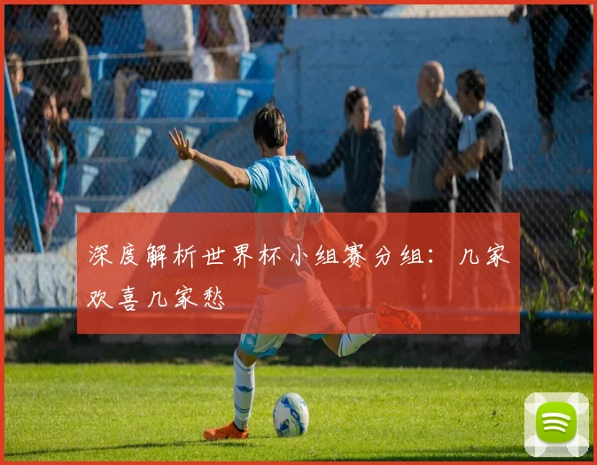 深度解析世界杯小组赛分组：几家欢喜几家愁