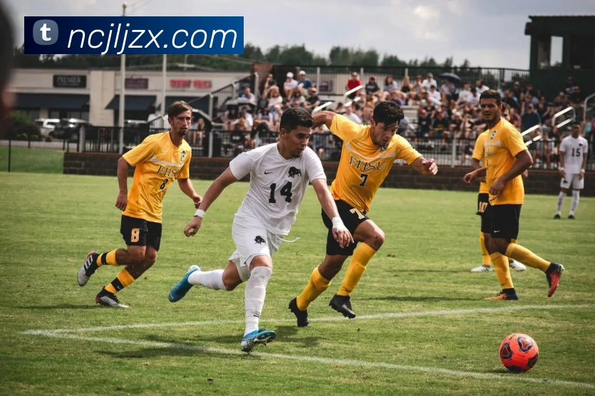 多媒体互动体验