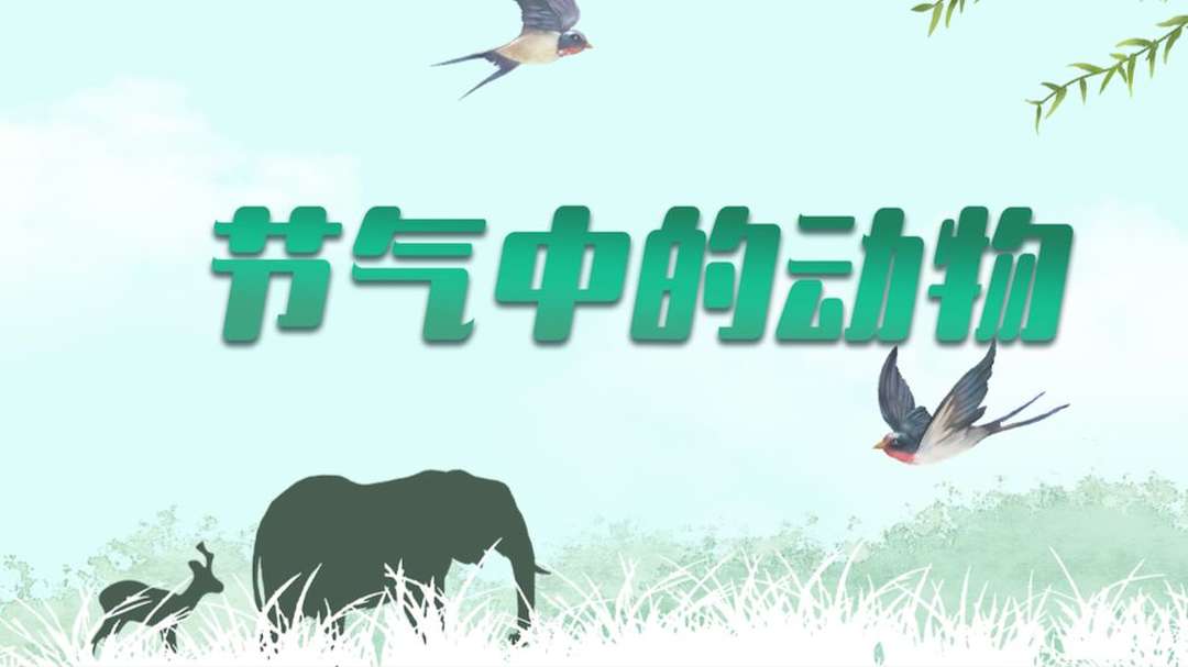 节假日返程如何减少拥堵带来的焦虑