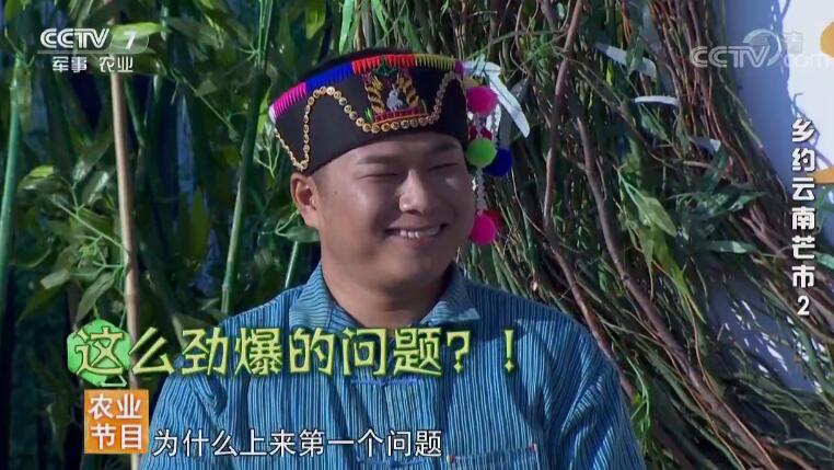 公交线路调整后怎样快速找到替代方案