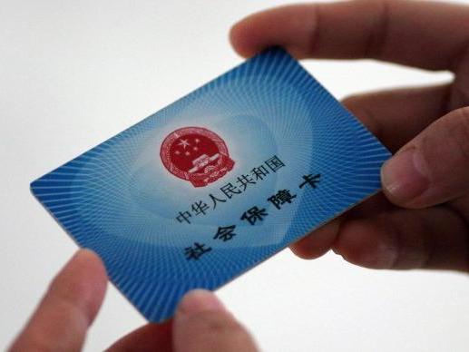 城市园林绿化如何兼顾四季景观与养护