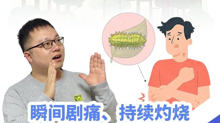 传统村落游览怎样做到尊重与保护