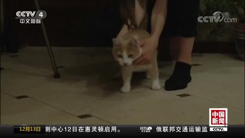 公共文化活动报名指南:避免错过关键时间